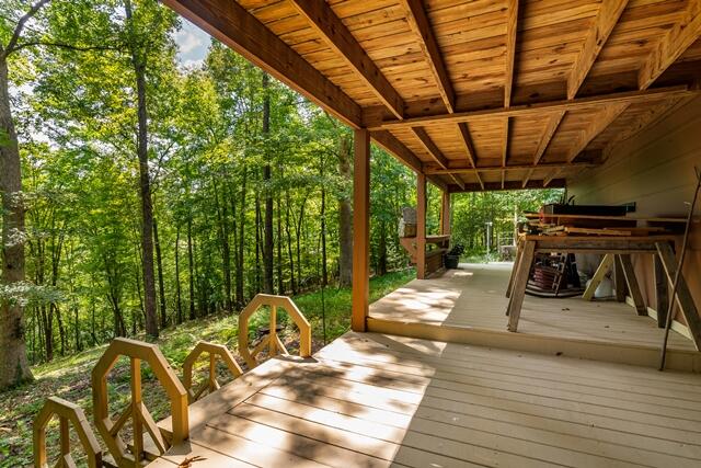 717 Evergreen Lane Property Photo 54