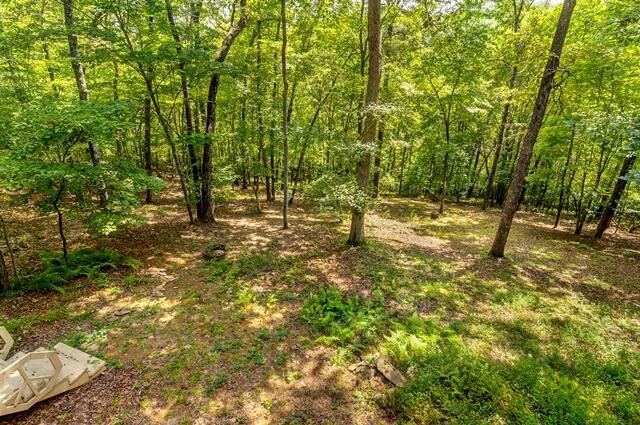 717 Evergreen Lane Property Photo 59