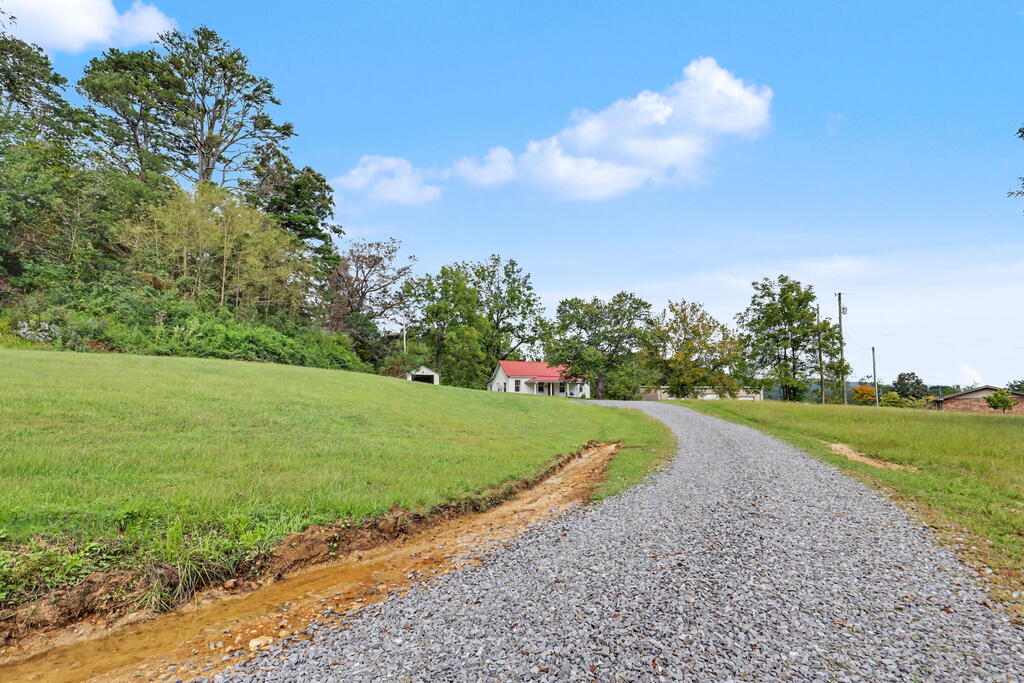 565 Tomotla Road Property Photo 7