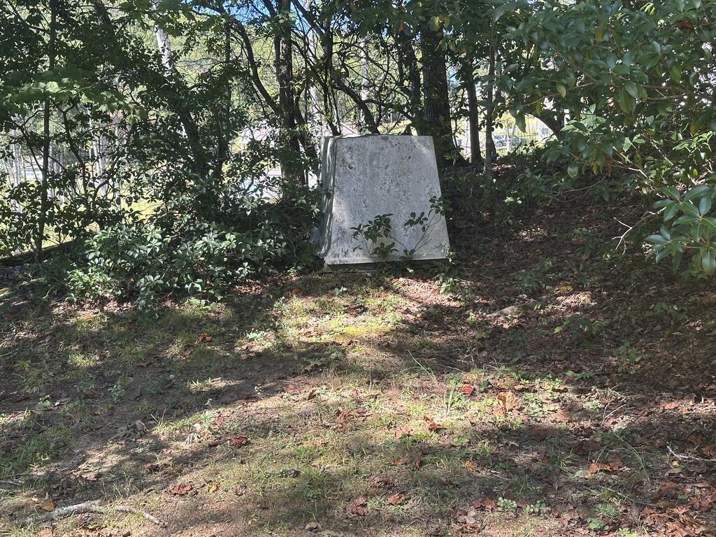 344 Avery Scroggs Road Property Photo 11