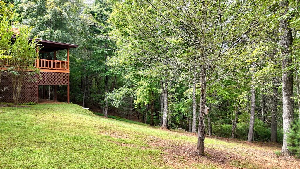364 Brasstown Hills Road Property Photo 41