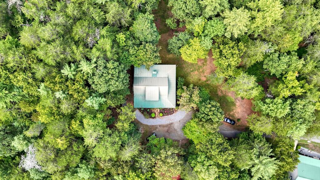 364 Brasstown Hills Road Property Photo 43