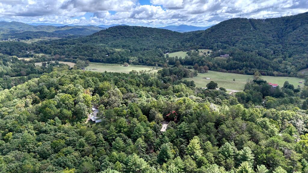 364 Brasstown Hills Road Property Photo 46