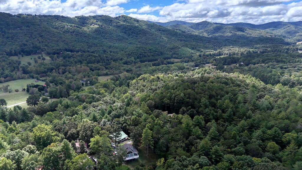 364 Brasstown Hills Road Property Photo 47