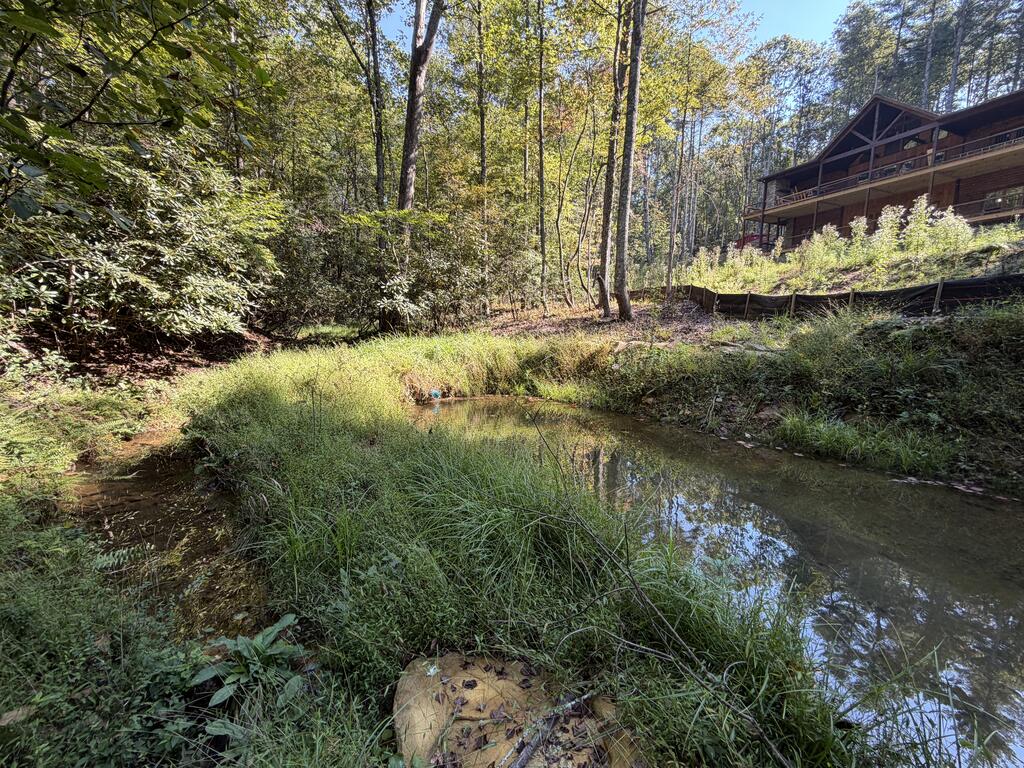Tract# 2 Ponderosa Drive Property Photo 42