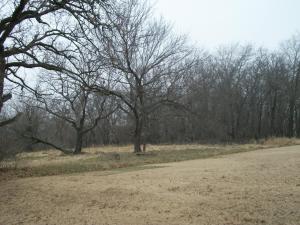 189 MORGAN BELL Circle Property Photo 1