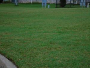 1405 Kingfisher Court Property Photo 1