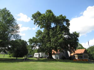 61851 E 93 Road Property Photo 7