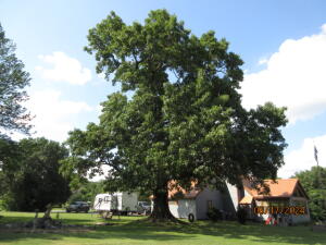 61851 E 93 Road Property Photo 8