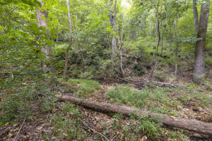 68596 E 385 Road Property Photo 27