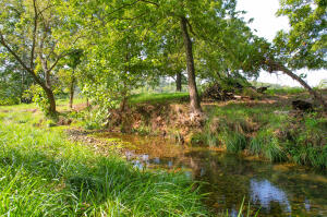 64795 E 202 Road Property Photo 8
