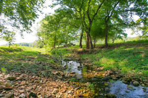 64795 E 202 Road Property Photo 9