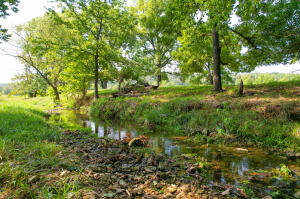 64795 E 202 Road Property Photo 10