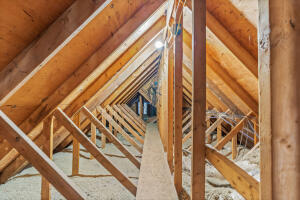 540 Ackerman Road Property Photo 58