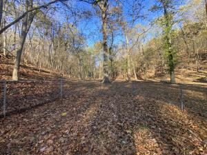 410 Lakeview Road Property Photo 37