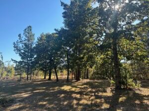 60170 E 340 Trail Property Photo 12