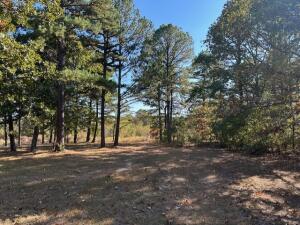 60170 E 340 Trail Property Photo 18