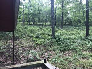 147 Oaks Road Property Photo 24