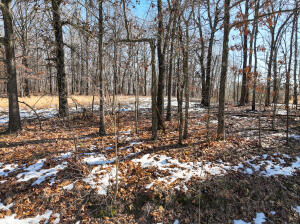 55355 S 520 Road Property Photo 8