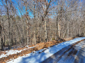 55355 S 520 Road Property Photo 9