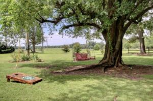 35868 S Highway 82 Property Photo 25