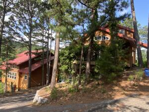 100 Dripping Springs Point Property Photo 5