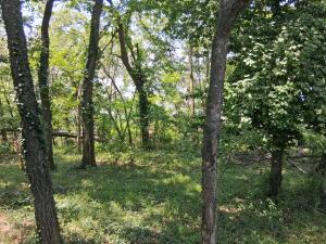 61401 E 280 Road Property Photo 4