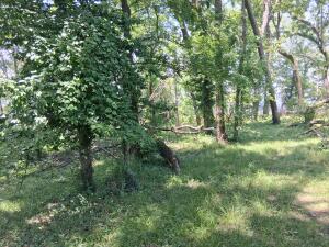 61401 E 280 Road Property Photo 5