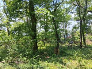 61401 E 280 Road Property Photo 6
