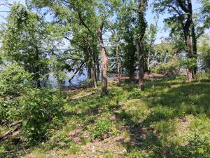 61401 E 280 Road Property Photo 7