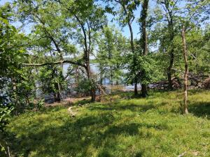 61401 E 280 Road Property Photo 11