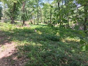 61401 E 280 Road Property Photo 14
