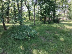 61401 E 280 Road Property Photo 15