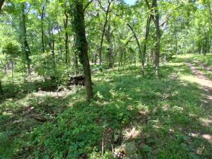 61401 E 280 Road Property Photo 16