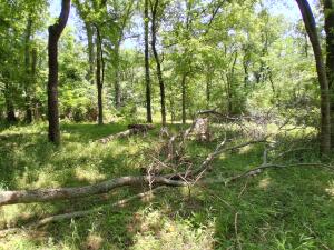 61401 E 280 Road Property Photo 18
