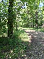 61401 E 280 Road Property Photo 19