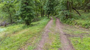 61401 E 280 Road Property Photo 31