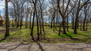 3435 Scenic Drive Property Photo 6