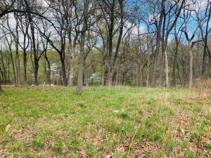 Pheasant Circle Property Photo 3