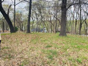 Pheasant Circle Property Photo 4