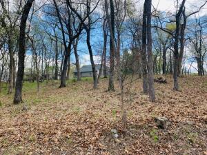 Pheasant Circle Property Photo 6