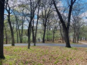 Pheasant Circle Property Photo 7