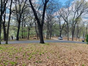 Pheasant Circle Property Photo 8