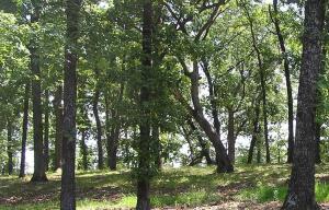 Lot 4 332 Loop Property Photo 2