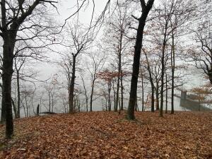 Lot 4 332 Loop Property Photo 10