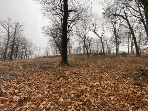 Lot 4 332 Loop Property Photo 11