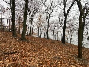 Lot 4 332 Loop Property Photo 12