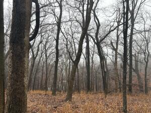 Pheasant Circle Circle Property Photo 2