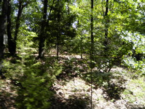 Tbd S 605 Place Property Photo 1