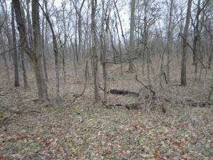 62515 E 270 Road Property Photo 10
